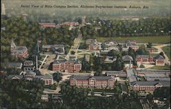 Aerial view of Main campus section, Alabama Polytechnic Institute, Auburn, Ala. Postcard