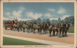 Genesee Twelve Horse Ale Advertising Postcard Postcard Postcard