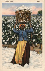 Drying Cotton - Woman with Basket of Cotton on Her Head Postcard