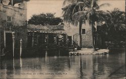 Venetian Pool at Coral Gables Postcard