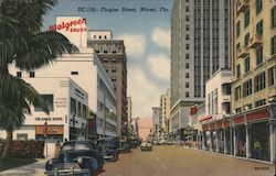 Flagler Street, Miami, Fla. Postcard