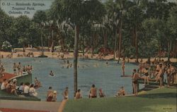 Sanlando Springs Tropical Park Orlando, FL Postcard Postcard Postcard