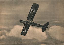 Luftwaffe, Air Force Observation Plane, "Stork" Postcard