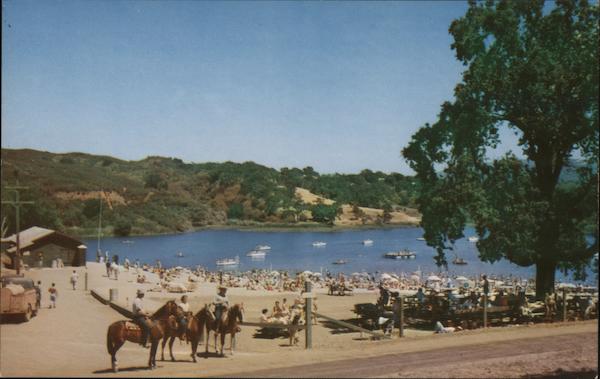 Searsville Lake And Park Woodside Ca Postcard