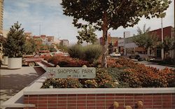 Flower Beds - Shopping Park Postcard