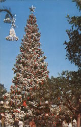 Christmas Tree, Disneyland Postcard