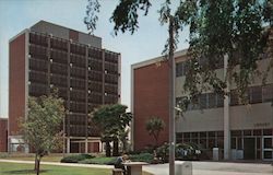 California State College of Long Beach Postcard Postcard Postcard