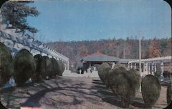 Mountain Valley Mineral Water Spring Postcard