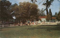 Gulf Hills Dude Ranch & Golf Club Postcard