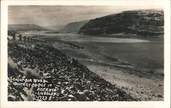 Columbia River Lindsley, BC Canada British Columbia Postcard Postcard Postcard