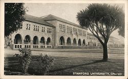 Stanford University California Postcard Postcard Postcard