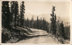 Monarch Pass Salida, CO Postcard Postcard Postcard