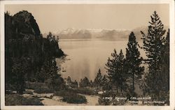 Lake Tahoe Grove California Postcard Postcard Postcard