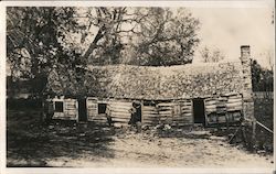 Collapsed Cabin Postcard