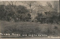 Banana Palms and Negro Cabin, Marines South Carolina Postcard Postcard Postcard