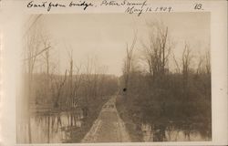 East from Bridge, Potter Swamp - May 16, 1909 Postcard