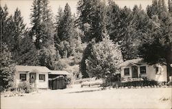 Cabins, Dann Creek Park, Redwood Highway California Postcard Postcard Postcard