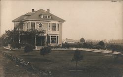 Large House, Palm Trees Postcard