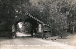 Entrance Fountain of Youth Postcard