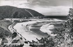 Panoramic View of the Beach Postcard