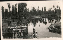 Lagoon View Postcard