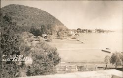 Sus Colonias Chapala, Mexico J. Gonzolez Postcard Postcard Postcard