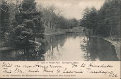 Lake in Forest Park Postcard