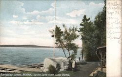 Up the Lake from Camp Bemis, Rangeley Lakes Postcard