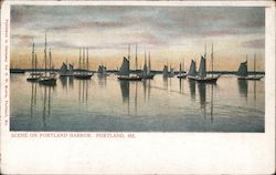 Scene on Portland Harbor Postcard