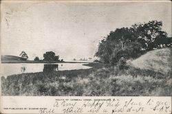 Mouth of Cerbeau Creek Postcard