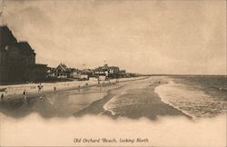 Old Orchard Beach, looking North Postcard