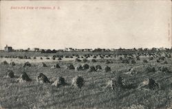 Bird's-Eye View of Ipswich, S.D. Postcard