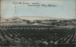 A Fruit Farm, Near Traverse City Michigan Postcard Postcard Postcard