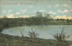 Scene on Boulevard Through Miller Park Postcard