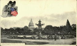 Botanical Garden Postcard