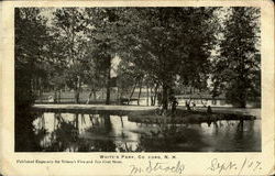 White's Park Concord, NH Postcard Postcard