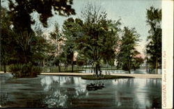 Scene In White's Park Concord, NH Postcard Postcard