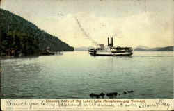 Steamer Lady Of The Lake Postcard