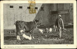 First Come First Served Cows & Cattle Postcard Postcard