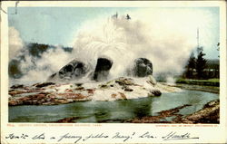 Grotto Geyser Yellowstone National Park Postcard Postcard