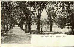 Boston Common And Frog Pond Massachusetts Postcard Postcard