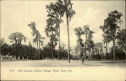 The Campus, Rollins College Winter Park, FL Postcard Postcard