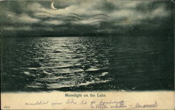 Moonlight On Lake Erie Postcard