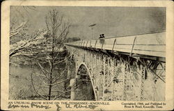 An Unusual Snow Scene On The Tennessee Knoxville, TN Postcard Postcard