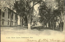 Brown Square Postcard