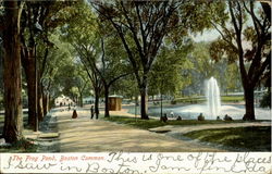 The Frog Pond Boston, MA Postcard Postcard