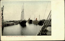 In The Slip At Port Tampa Florida Postcard Postcard