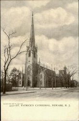 St. Patrick's Cathedral Postcard