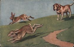 A Dog Chasing Two Rabbits Dogs Postcard Postcard Postcard