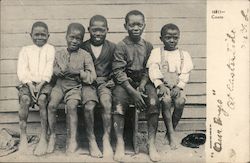 5 African American children sit on a bench outside a house Postcard